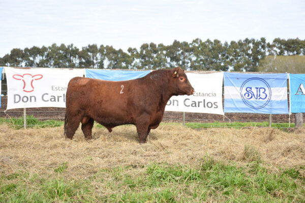 LOTE 01 - RP. 2