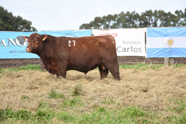 LOTE 09 - RP. 27