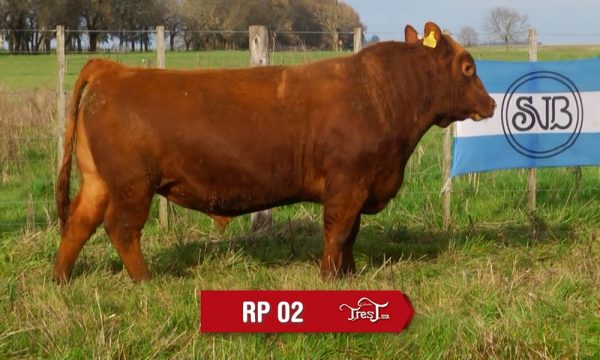 LOTE 02 - RP. 2