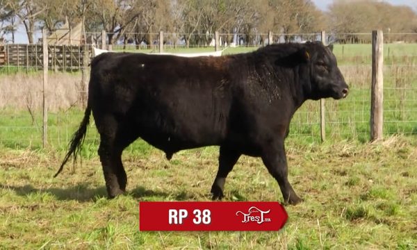 LOTE 03 - RP. 38