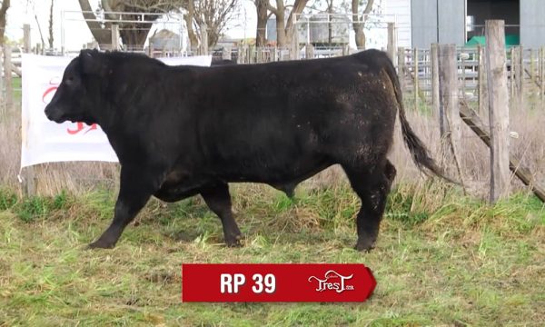 LOTE 03 - RP. 39
