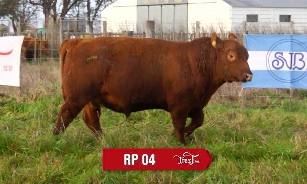 LOTE 04 - RP. 4