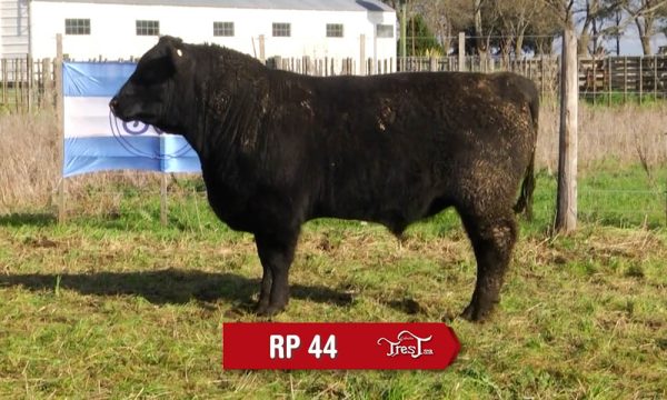 LOTE 09 - RP. 44