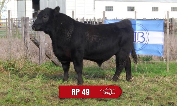 LOTE 15 - RP. 49