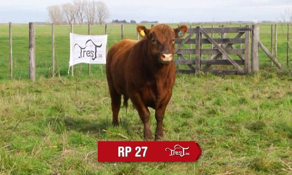 LOTE 18 - RP. 27