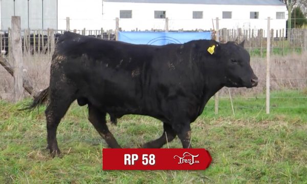 LOTE 21 - RP. 58
