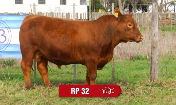 LOTE 22 - RP. 32