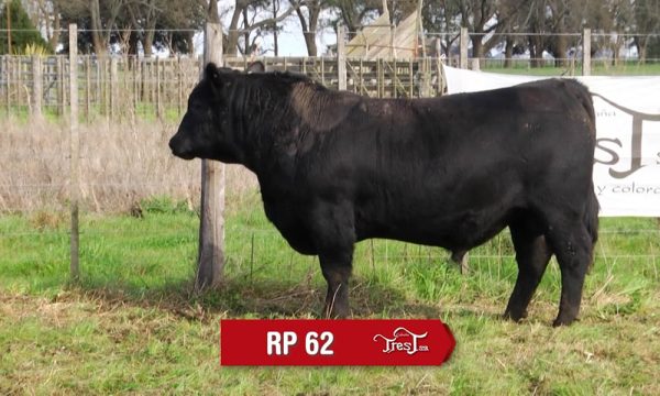 LOTE 23 - RP. 62