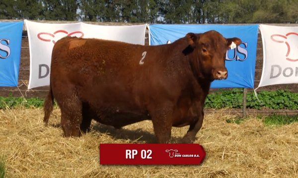 LOTE 01 - RP. 2