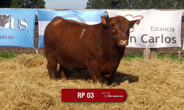 LOTE 01 - RP. 3