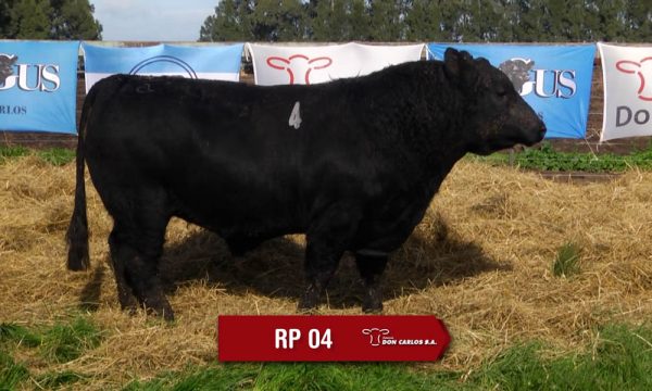 LOTE 02 - RP. 4