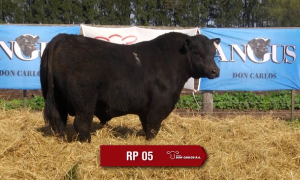 LOTE 02 - RP. 5
