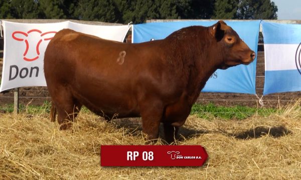 LOTE 03 - RP. 8