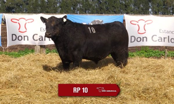 LOTE 04 - RP. 10