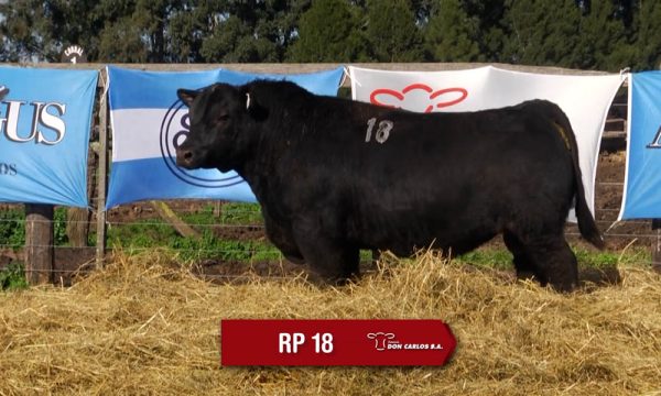 LOTE 06 - RP. 18