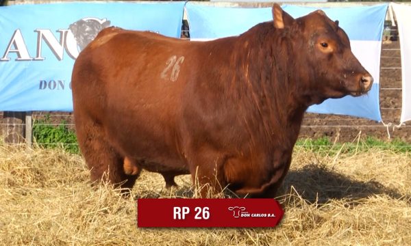LOTE 09 - RP. 26
