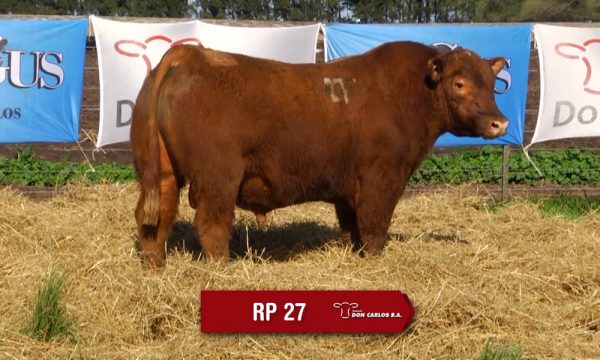 LOTE 09 - RP. 27