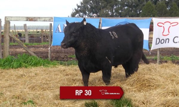 LOTE 10 - RP. 30