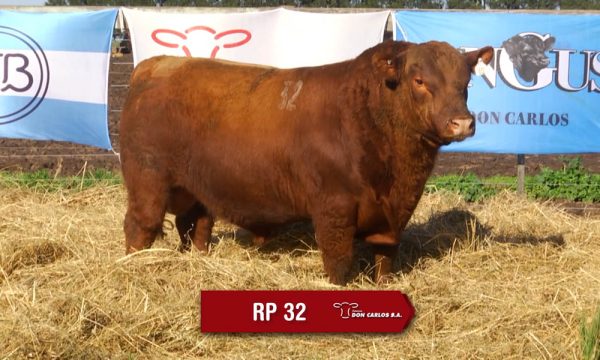 LOTE 11 - RP. 32