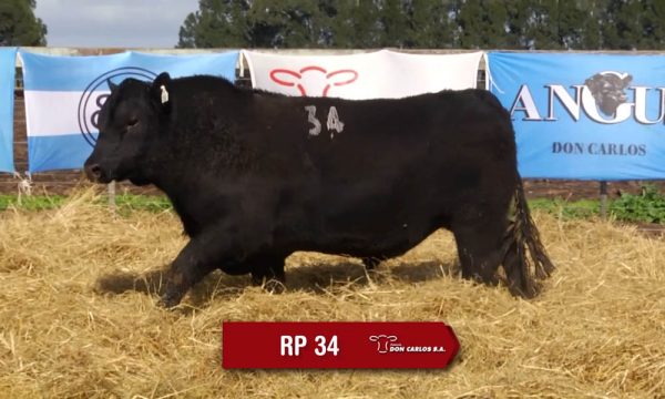 LOTE 12 - RP. 34