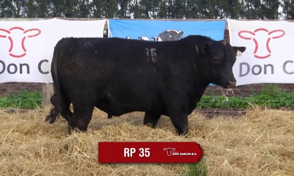 LOTE 12 - RP. 35